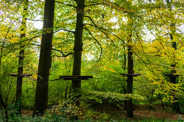 Baumpfad im Kletterwald in Hoxfel, NRW