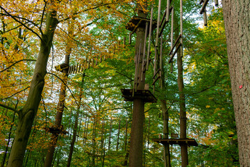 Kletterwald in Hoxfeld NRW. Kletterseile und Holzleitern in den Baumkronen.