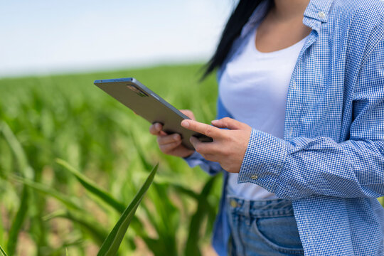 Woman farmer using tablet for crop inspection in field