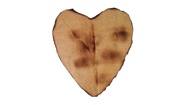 Burnt paper heart shape with rustic scorched texture and aging