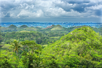 nature, summer, spring, greenery, sunny day, the arrival of summer, grass, trees, view, without people, relaxation, silence, outside the city, peace, the most beautiful, flora,

