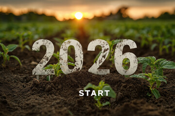 Successful new year begins with growth in a vibrant field at sunset