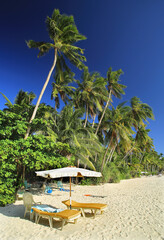 nature, summer, spring, greenery, sunny day, the arrival of summer, grass, trees, view, without people, relaxation, silence, outside the city, peace, the most beautiful, flora,

