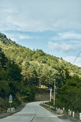 Fototapeta premium Road forest mountain nature trees rural winding sky, country road curves through green hills and pine forest under cloudy sky authenticity inclusivity peaceful travel