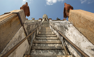 natural asia, philipines for the relax