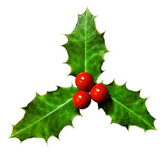 3D Realistic Christmas Sprig of Holly with Green Leaves and Red Berries