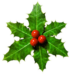 3D Realistic Christmas Sprig of Holly with Green Leaves and Red Berries