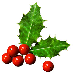 3D Realistic Christmas Sprig of Holly with Green Leaves and Red Berries