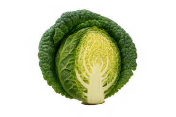 Savoy cabbage half with fresh green leaves revealing bright yellow and white inner core on transparent background