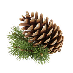 Elegant pine cone and evergreen bough on black background festive design