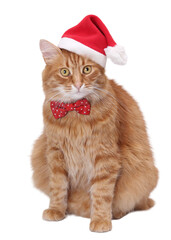 Transparent PNG of a ginger cat wearing a red Santa hat and festive bow tie. High-quality isolated Christmas pet image for holiday cards, winter designs, marketing and advertising.