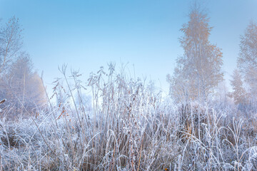Beautiful autumn misty sunrise landscape with a country road. Foggy morning and rime at scenic high grass meadow.