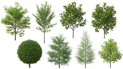 Fototapeta premium Collection of various green deciduous and evergreen tree cutouts