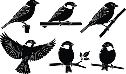 Sparrow bird silhouettes, perched sparrows, flying sparrow vector, bird clipart, black bird icons, sparrow illustration set