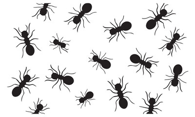 Abstract geometric shape with vibrant color gradients isolated on white background