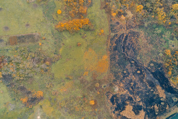 Aerial top down view of burnt forest and green autumn trees in war zone. Scorched earth texture and ecocide destruction background.