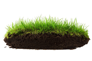 Patch of fresh green grass with soil base isolated on white background