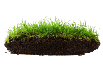 Patch of fresh green grass with soil base isolated on white background