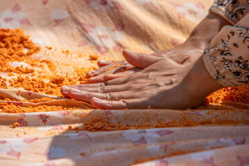 Photographs taken in daylight from the preparation of 