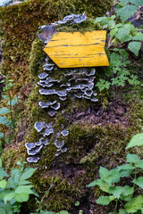 Panneau indicatif de randonn&eacute;e en bois peint en jaune