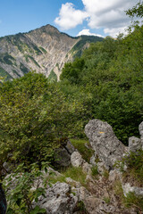 Sommet de montagne avec une for&ecirc;t et des rochers en avant plan