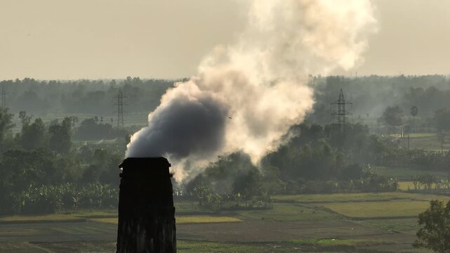 Thick toxic smoke rising from a brick kiln chimney drifts across nearby fields, choking the air and harming wildlife, plants, and the fragile natural habitat around it