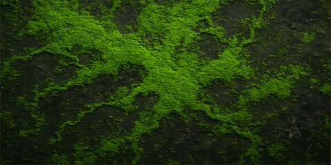 Closeup texture of vibrant green moss and abstract plant patterns growing on a wet stone in a forest garden