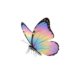 A beautiful pastel gradient butterfly with delicate wings in soft hues