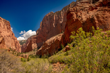 Fototapeta premium zion