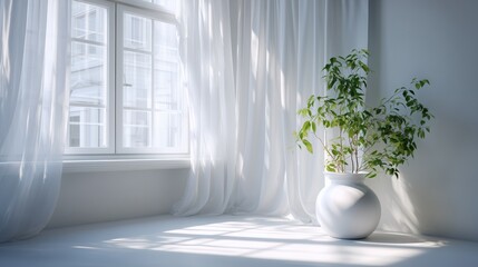 Bright room with large windows, curtains, and a green plant in a white pot near the sunlit corner during daytime