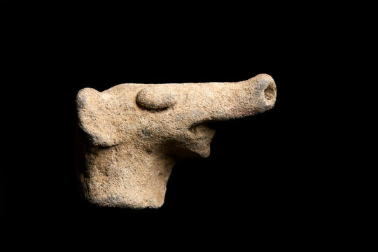 statuette pr&eacute;colombienne d'une t&ecirc;te de chien arch&eacute;ologique en terre cuite sur fond noir