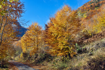 Beautiful autumn landscape in Prokletije National Park