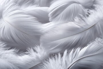 Fototapeta premium Detailed Close-Up of White Feathers