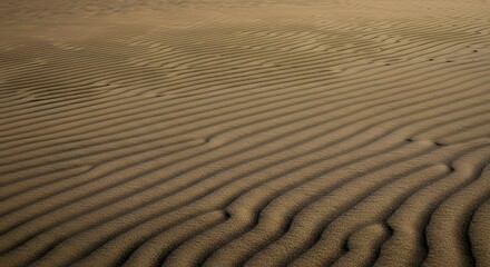 Fototapeta premium The abstract pattern of wind lines on a smooth dune.