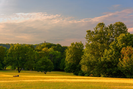 Yellow meadow in the evening