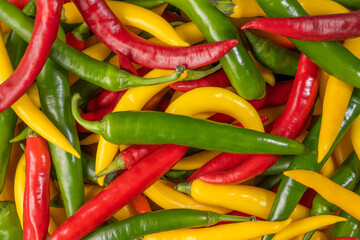 A group of hot chili peppers of different colors, top view