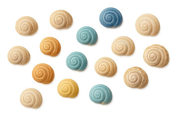 Various mollusk shells demonstrating natural ocean elements, marine life, and beach discoveries, perfect for aquatic themes