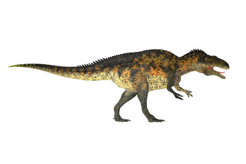 Acrocanthosaurus Dinosaur Profile - Acrocanthosaurus was a theropod carnivorous dinosaur that lived in North America during the Cretaceous Period.