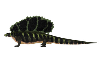 Carboniferous Edaphosaurus - Edaphosaurus was a sailback carnivorous dinosaur that lived during the Carboniferous and Permian Periods.