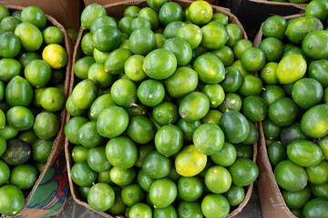 Fresh Green Limes In Cardboard Boxes At Market