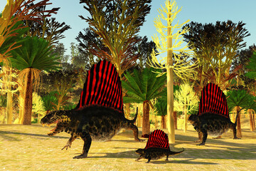 Dimetrodon Morning - Dimetrodon was a mammal-like sailback reptile that lived in the Permian Period of North America and Europe.