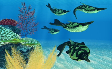 Pteraspis Fish - Pteraspis was a carnivorous marine fish that was heavily armored and lived during the Devonian Period.