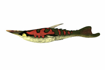 Pteraspis Side Profile - Pteraspis was a carnivorous marine fish that was heavily armored and lived during the Devonian Period.