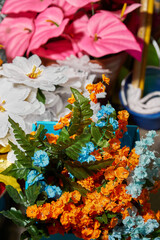 Colorful flowers to celebrate the day of the dead