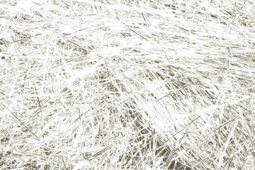 Abstract tangle of hay and straw forming a textured pattern. Lines crisscrossing chaotic layers creating a monochromatic background. Color of 2026 year dancer in the white cloud