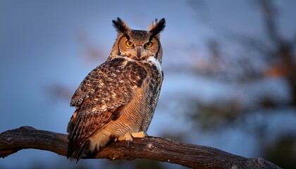 majestic great horned owl perched on a sturdy oak branch eyes gleaming in the twilight feathers ruffled slightly by a gentle breeze wings beak
