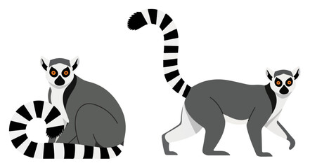 Ring Tailed Lemur Pair – Madagascar Primate Animal Vector Set © Cristiano
