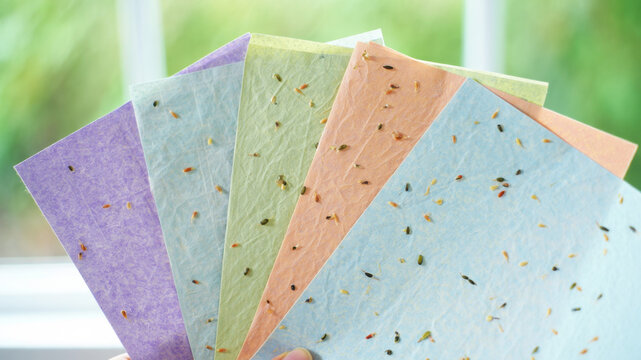 A vibrant fan of multicolored plantable seed paper sheets held in hand, showcasing embedded wildflower and herb seeds for sustainable crafting, eco-friendly stationery, green gifting