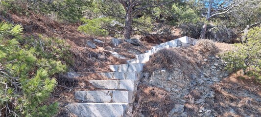 Visitors walk up a stone staircase surrounded by trees and plants on a sunny day near the coast in a natural area