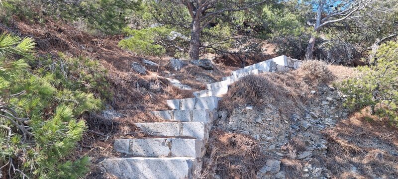 Visitors walk up a stone staircase surrounded by trees and plants on a sunny day near the coast in a natural area